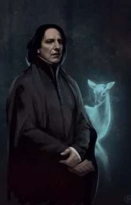 Профессор Снейп и Т/И