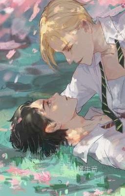 Спасённая жизнь(драри)