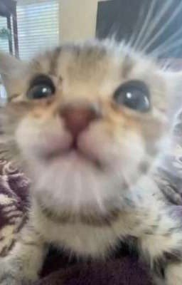 ты слишком мала для меня..