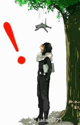 Айзава и Т/и.