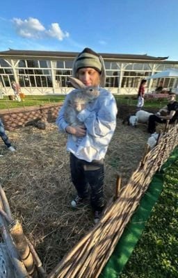 этот заяц сводит меня с ума