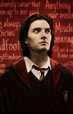 Сириус же наблюдал за Мэри