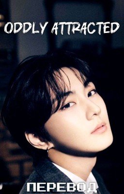 Oddly Attracted || Ян Чонвон