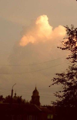 Вчера я видела сон