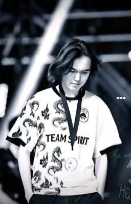 °•|Донк и Т/и|•°