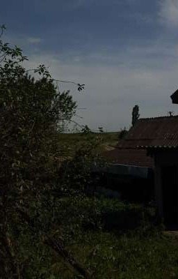 лето в деревне