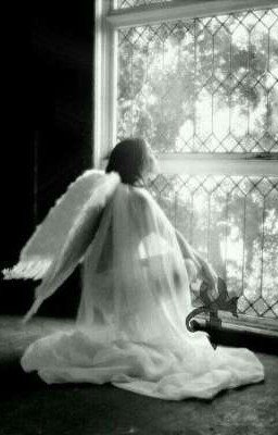 Запрет на любовь🔞(ЗАКОНЧЕН) 