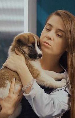 Лепестки слёз...