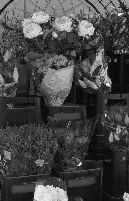 мы живём для того чтобы..? 