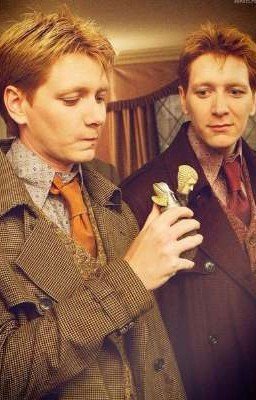 близнецы и Т/и