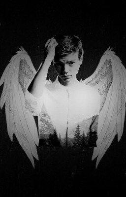 Нереальная любовь,  или Во всем виновата книга