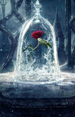 Одежда для книг