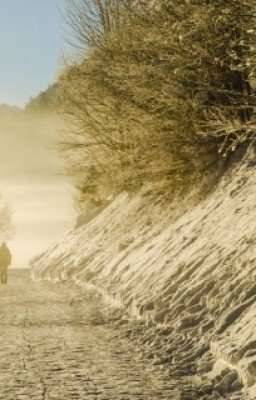 Как хитрому Еврею удалось пересечь границу.