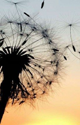 возможно ли счастье????