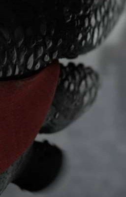 "Как приручить дракона" Возвращение титула короля...