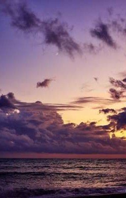 🌿Реакция Крипипасты на Т/и и другое🌿