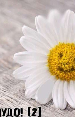 моя кошка чудо! [2]