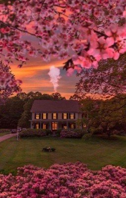 Сборник Стихов 📚 