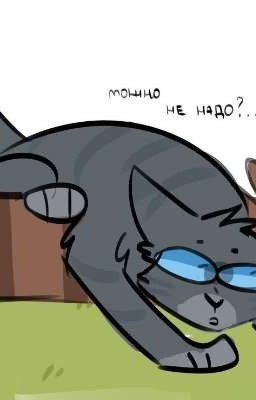 Коты Воители. Разное