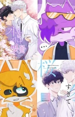 Вишня цветёт после зимы РК