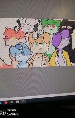 История разноцветных котов