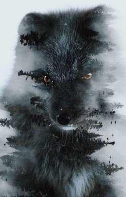 На улице мерцает яркий свет