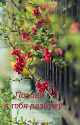 Позови - я тебя разбужу...