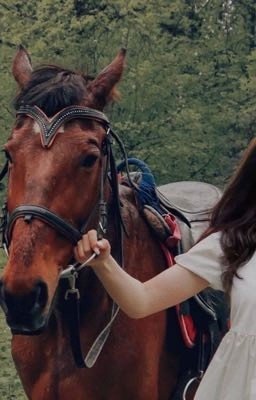 «Ненависть порождает любовь» 