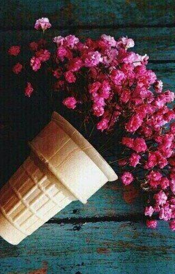 Письма в никуда