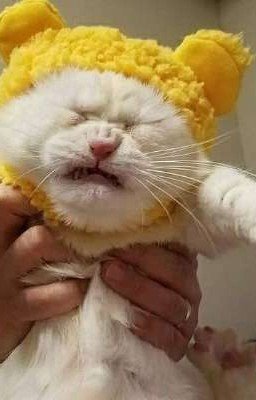Что чувствую