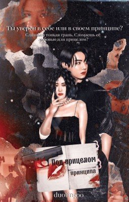 Под прицелом принципа.