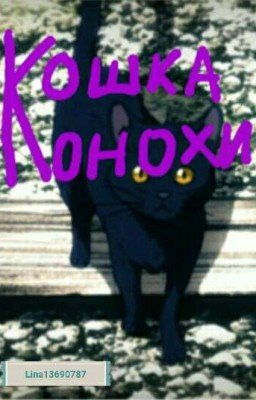 КОШКА КОНОХИ