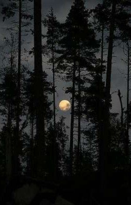 R.G./Ведьмовство/Энергетика/Астрал