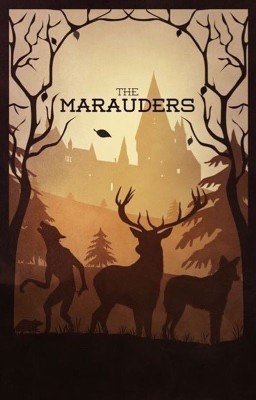 Другая жизнь Мародёров