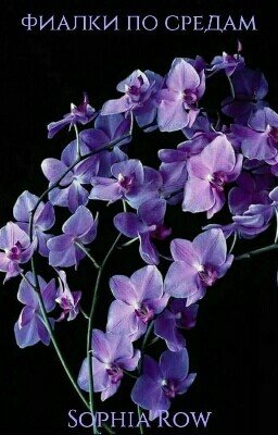 Фиалки по средам| Андре Моруа