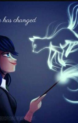 Мы не достойны этого