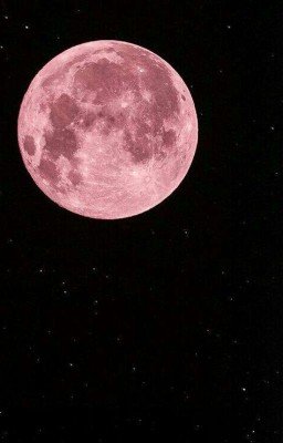 Розовая Луна
