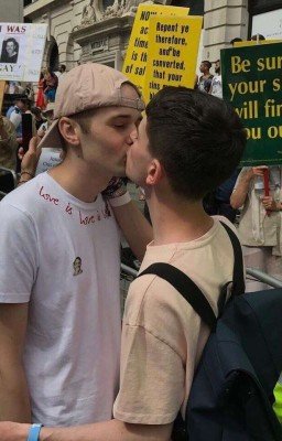 рыжий котик... 