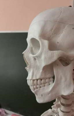 Мои сумасшедшие мемуары