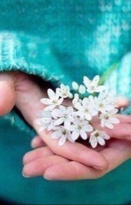 Лайфхаки  для всех и много всего разного✨