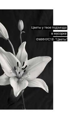 Стихи . Грустно о Грустном 