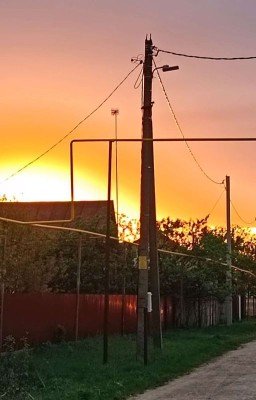 Честь. Человечность. Человечество.