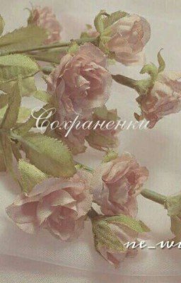 Сохраненки 💫