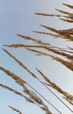 Стихи и Проза, Гнёт и Грёзы!