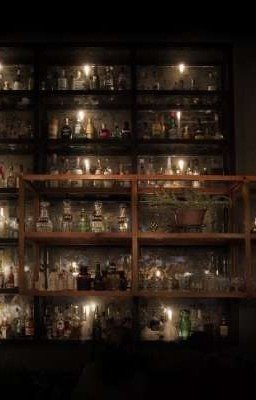 Новое начало