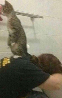 Дневник учащегося 