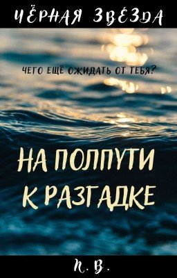 Черная Звезда. На полпути к разгадке.
