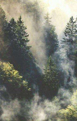 ✨Девушка покорившая звёзды. (The girl who conquered the stars.) 