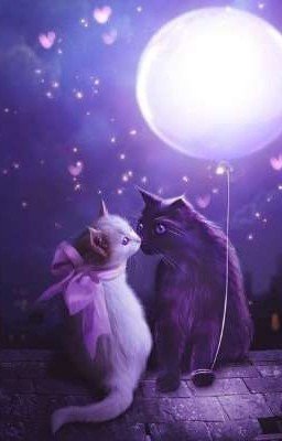 Предназначенный судьбой