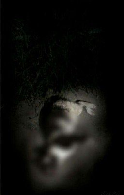 Серая кошка на знойном асфальте {16+}